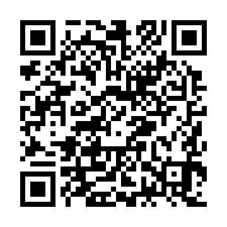 QR code for ZGP391