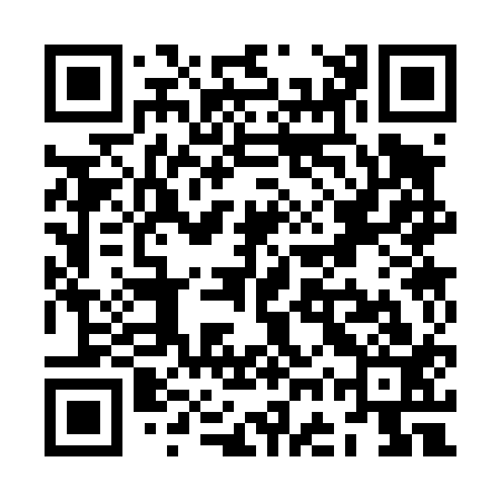 QR code for ZGS413