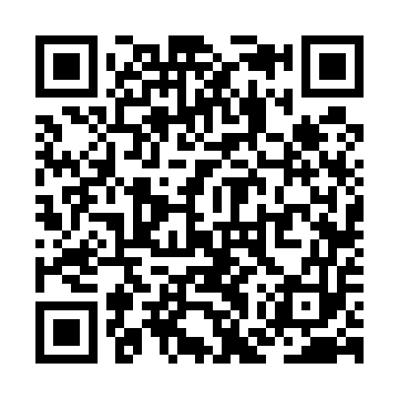 QR code for ZGV553