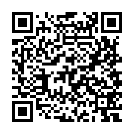QR code for ZGV958