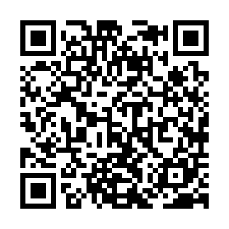 QR code for ZGX305