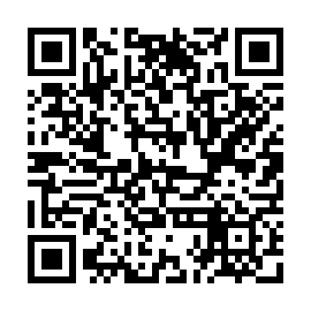QR code for ZHD369