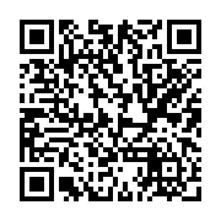 QR code for ZHH384