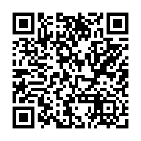 QR code for ZHM613