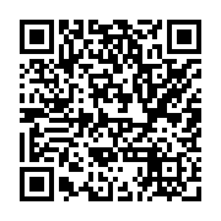 QR code for ZHM838