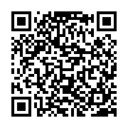 QR code for ZHN124