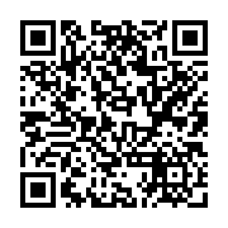 QR code for ZHN387