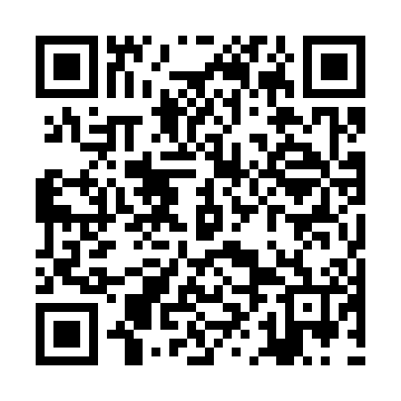 QR code for ZHO306