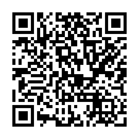 QR code for ZHO951