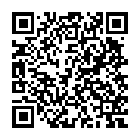 QR code for ZHR413