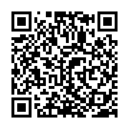 QR code for ZHS339