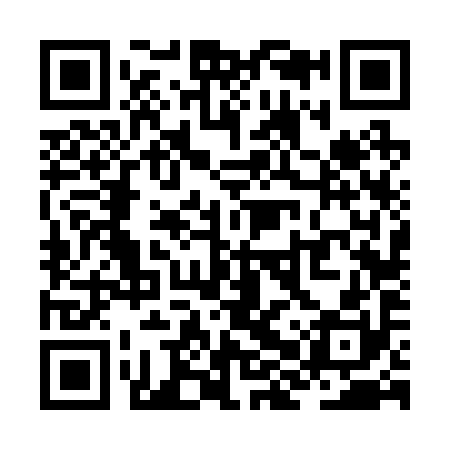 QR code for ZHV290