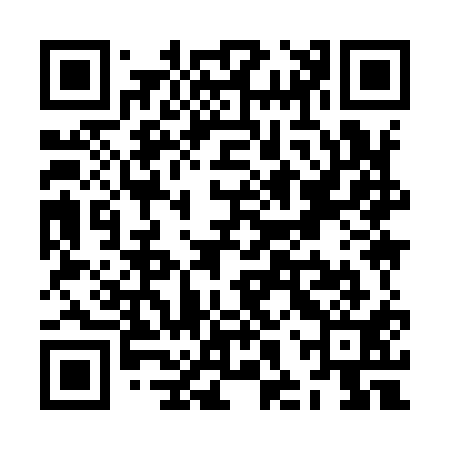 QR code for ZHY911