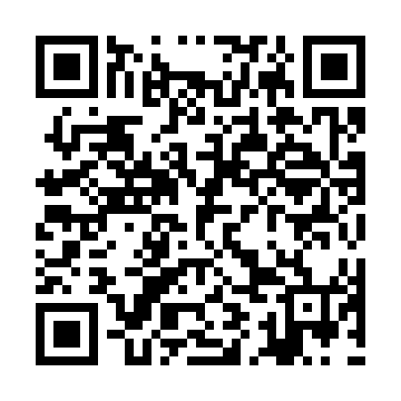 QR code for ZII344