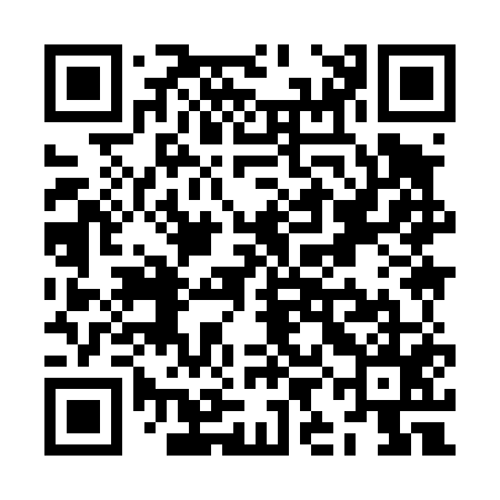 QR code for ZII455