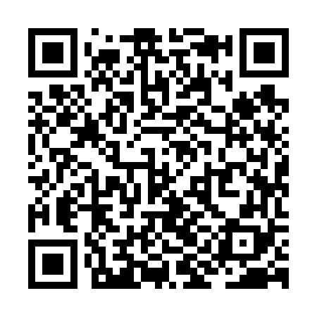 QR code for ZII668