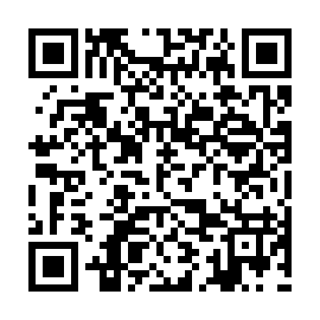 QR code for ZIN397