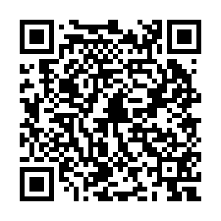 QR code for ZIP251