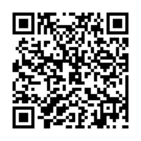 QR code for ZIR288