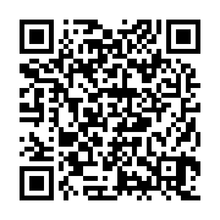 QR code for ZIR920