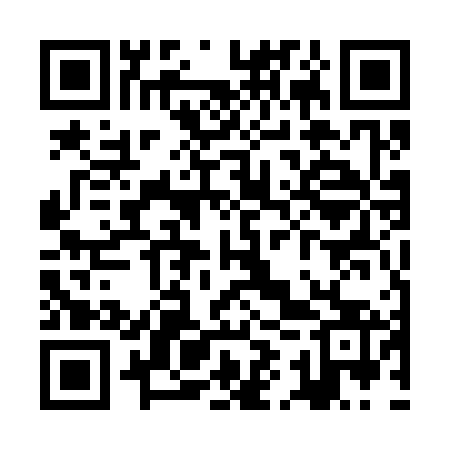 QR code for ZIU363