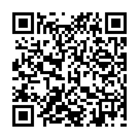 QR code for ZIU387