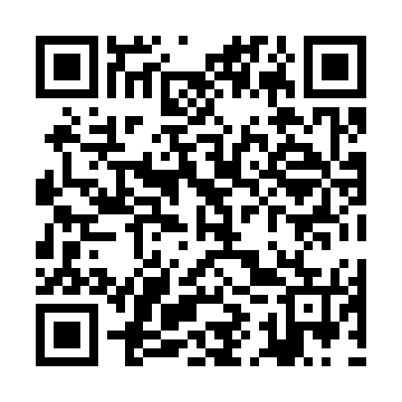 QR code for ZIX375