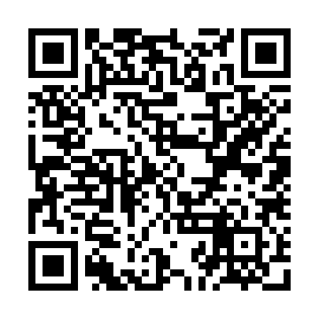 QR code for ZJG382