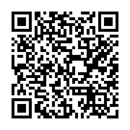 QR code for ZJG383