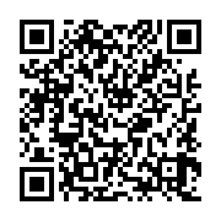 QR code for ZJL489
