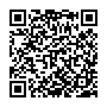 QR code for ZJN483