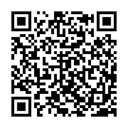 QR code for ZJP213