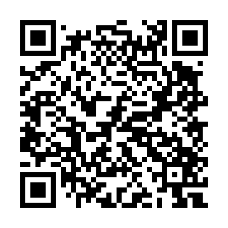 QR code for ZJP447