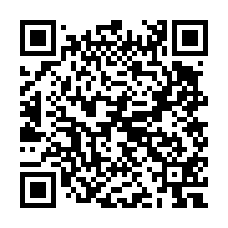 QR code for ZJW411