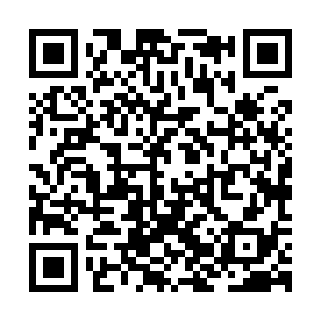 QR code for ZJX938