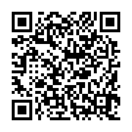 QR code for ZJY384