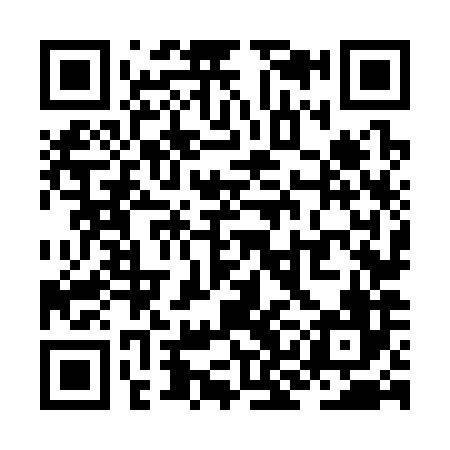 QR code for ZKN386