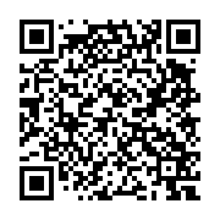 QR code for ZKP463