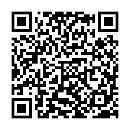QR code for ZKZ295