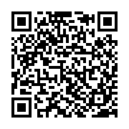 QR code for ZLC204