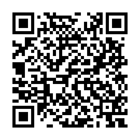 QR code for ZLC513