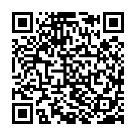 QR code for ZLH518