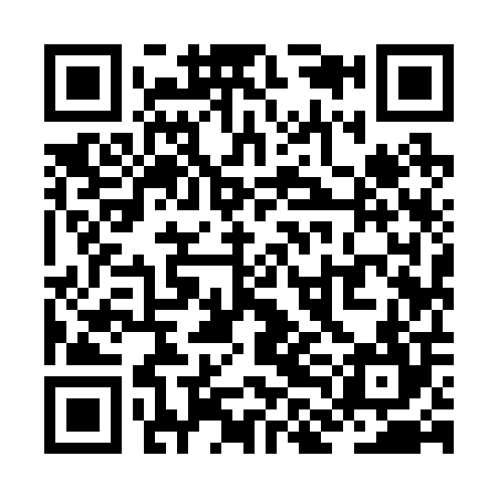 QR code for ZLI204