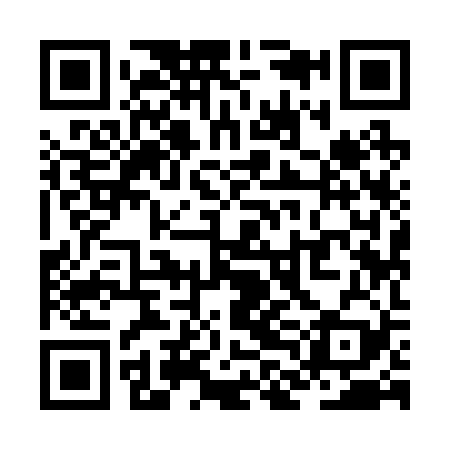QR code for ZLI229