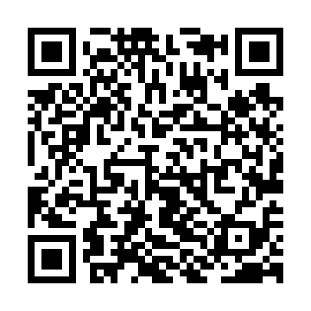 QR code for ZLL619