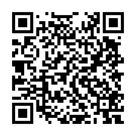 QR code for ZLM409