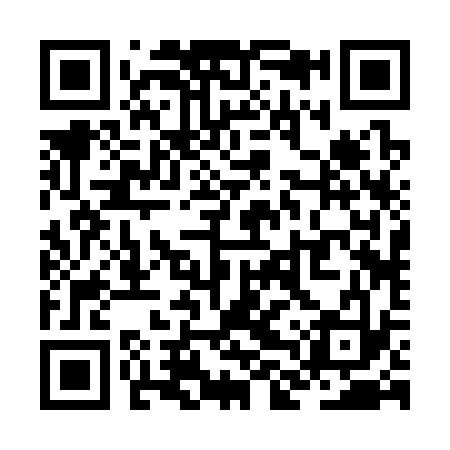 QR code for ZLR333