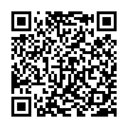 QR code for ZLS489
