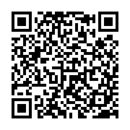 QR code for ZLS541