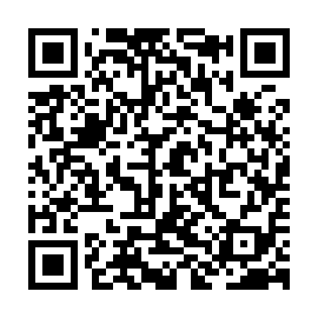 QR code for ZLS919